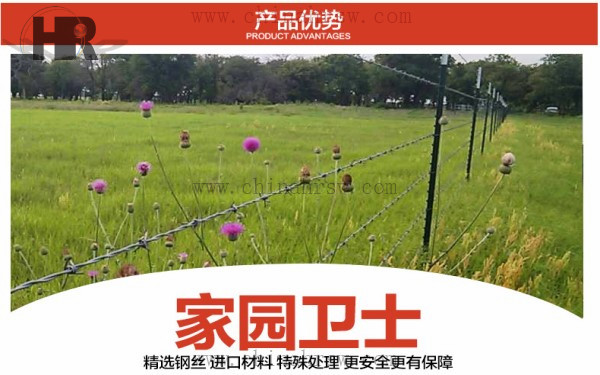 刺絲防護(hù)網(wǎng)